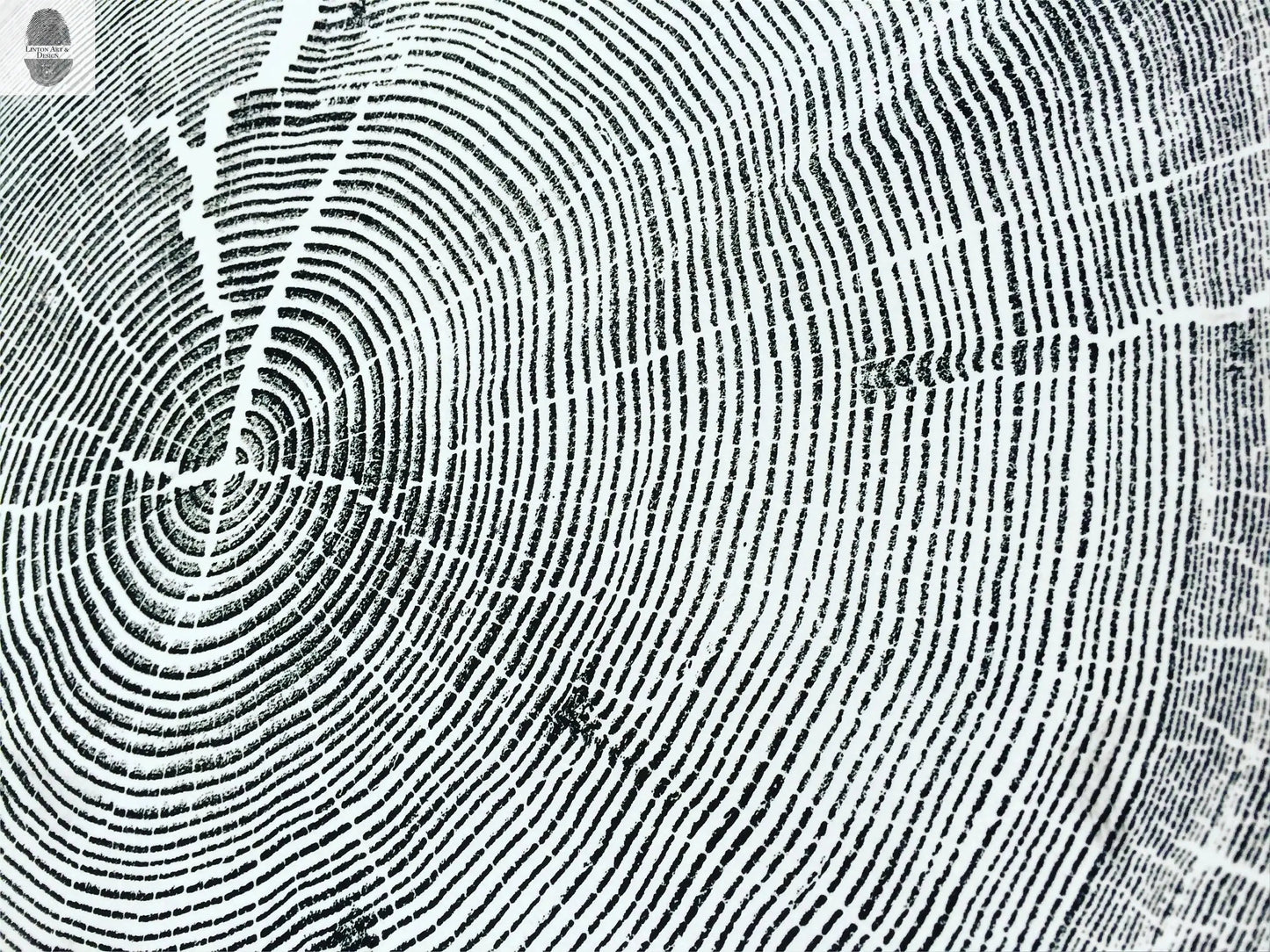 Crater Lake art, Oregon Print, Tree ring print, Woodcut print, Wood Wall art, Sacred Geometry, Forestry, National Parks, Signed Original