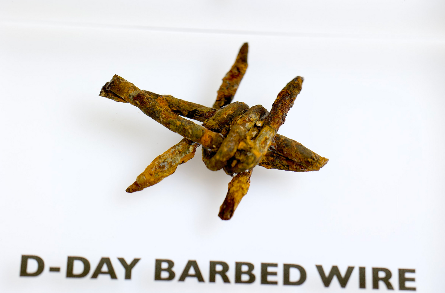 D-Day Barbed Wire Artifact Display