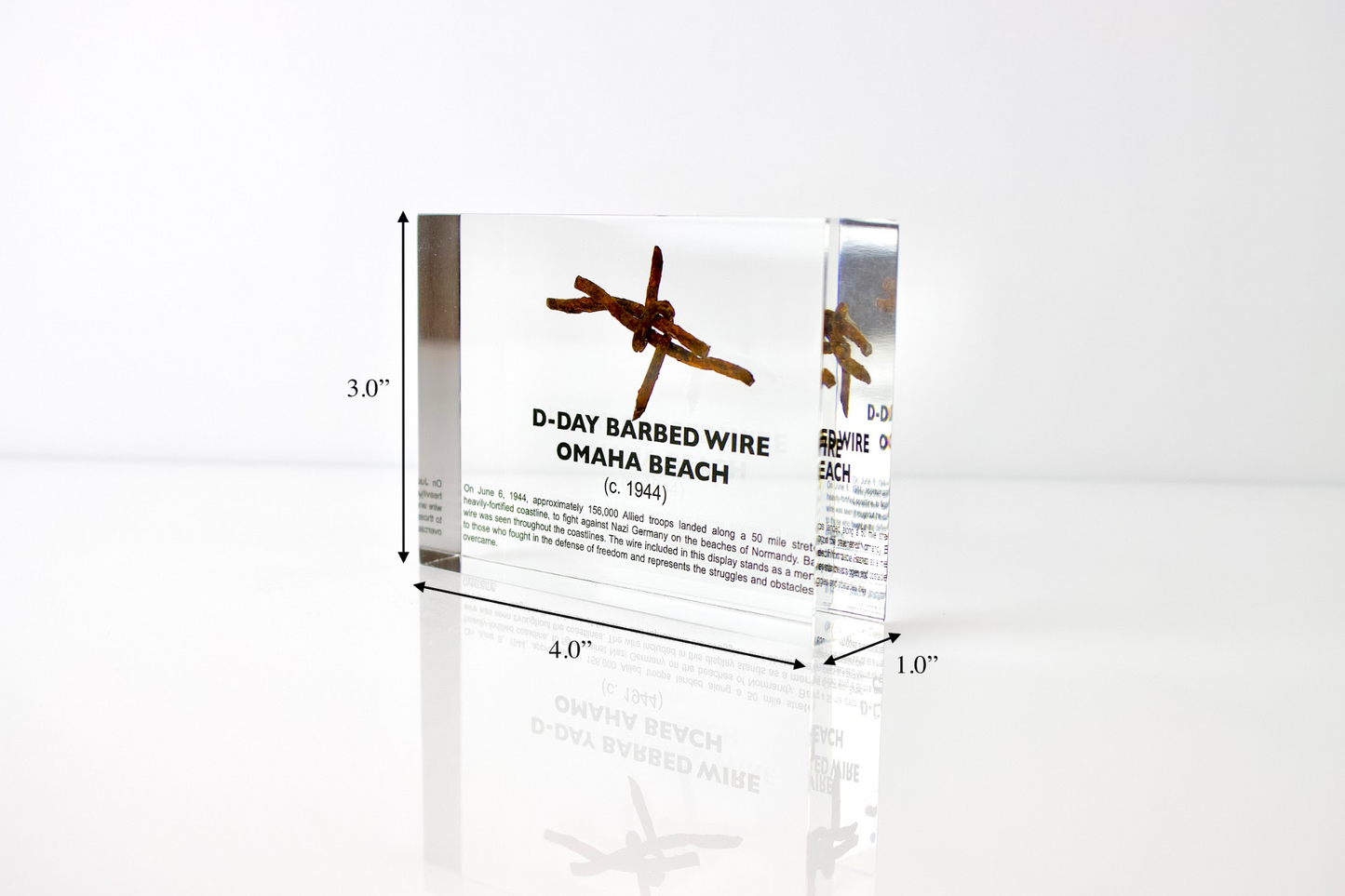 D-Day Barbed Wire Artifact Display