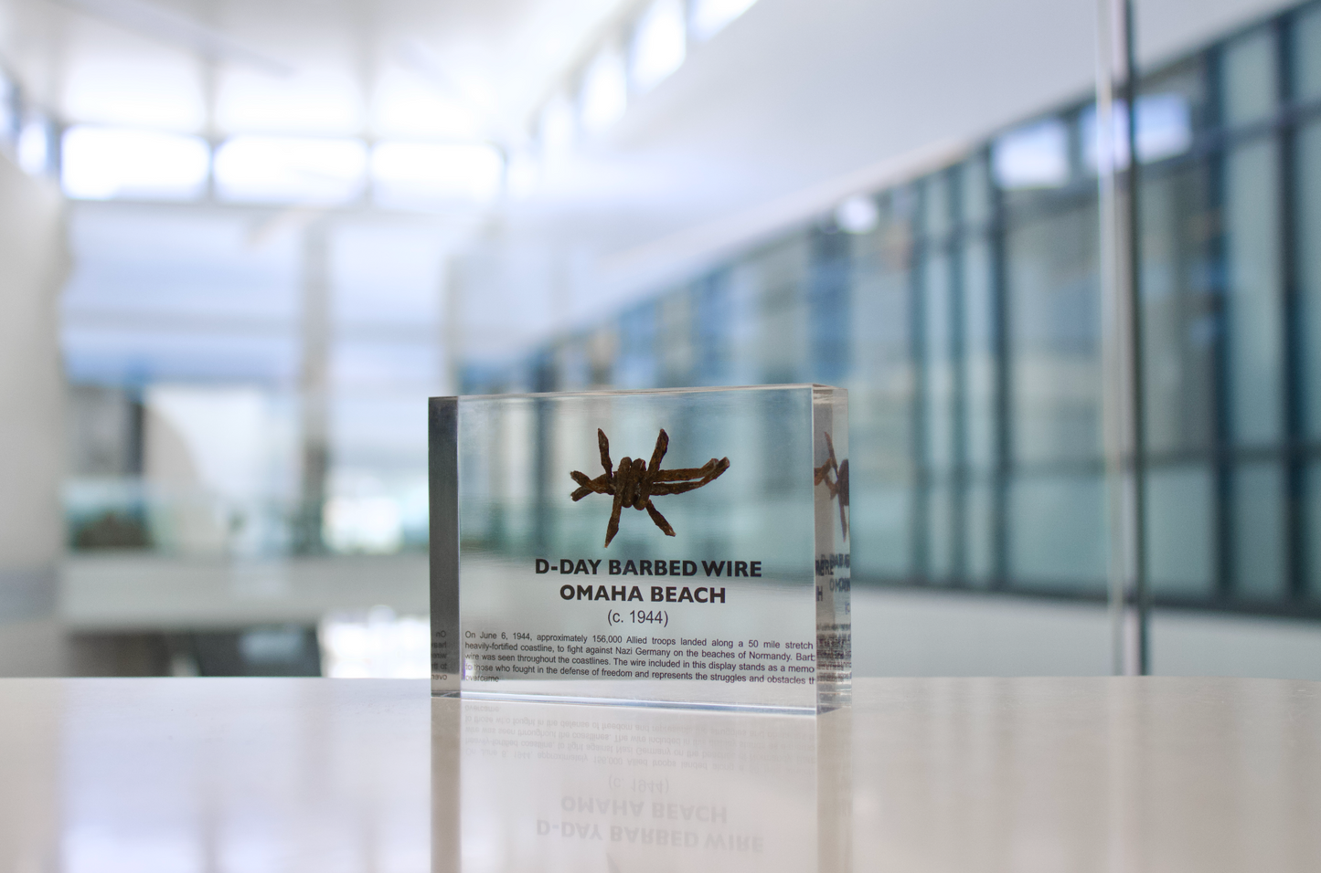 D-Day Barbed Wire Artifact Display