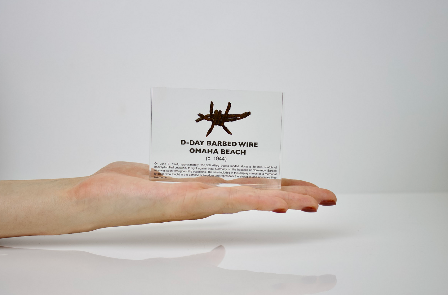 D-Day Barbed Wire Artifact Display
