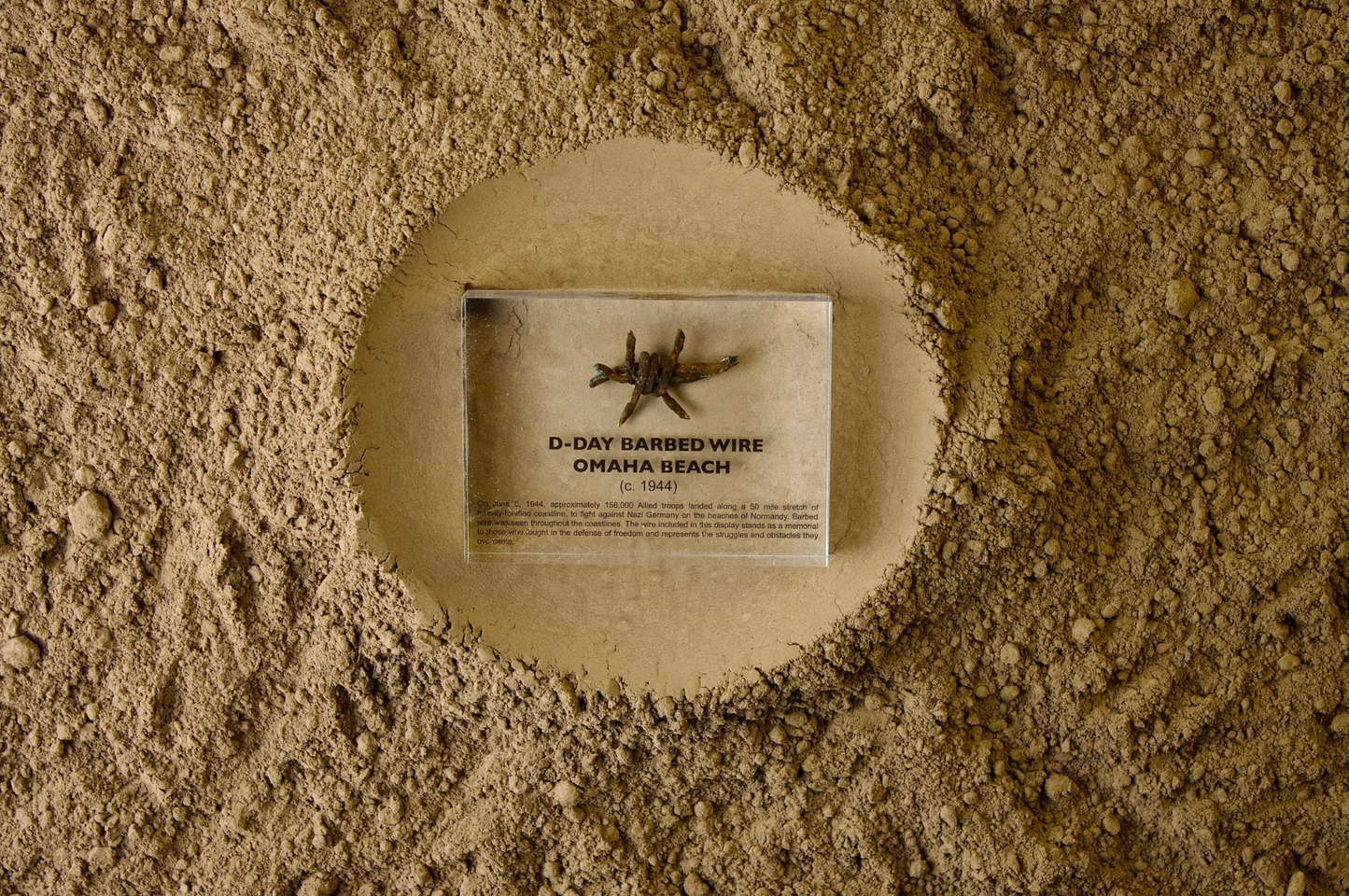 D-Day Barbed Wire Artifact Display