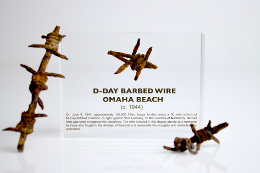D-Day Barbed Wire Artifact Display