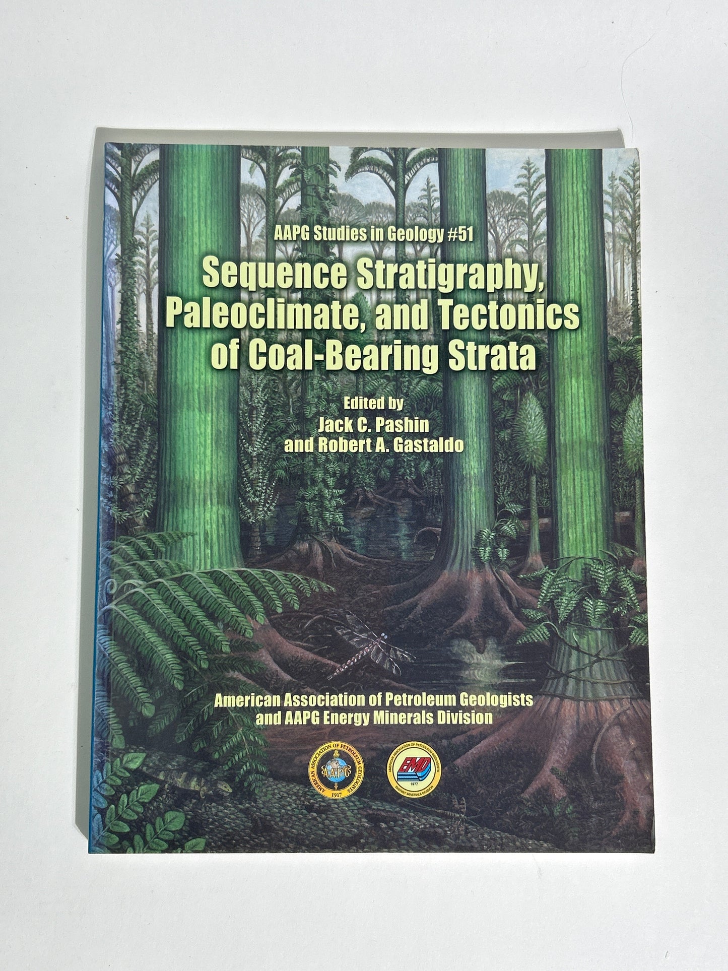 Professional Petroleum Geology & Well Log Library – AAPG Schlumberger 12 Books