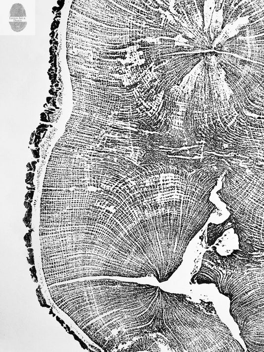 English Oak, Tree ring art print, Oak from Liverpool UK, Anniversary art, Tree ring art, Tree rings, Original Woodcut print by Erik Linton