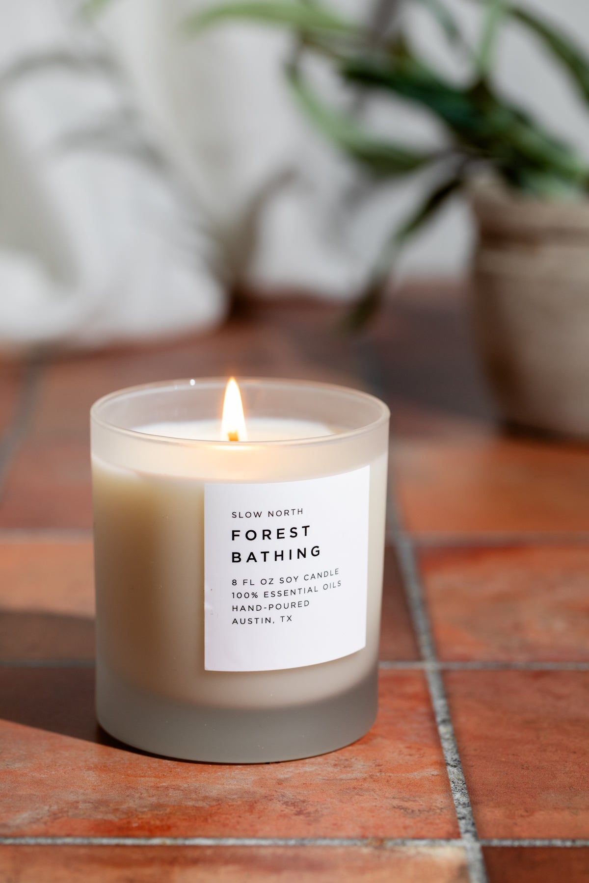 Forest Bathing - Signature Candle (Fir + Pine + Patchouli) - Osadia Concept Store