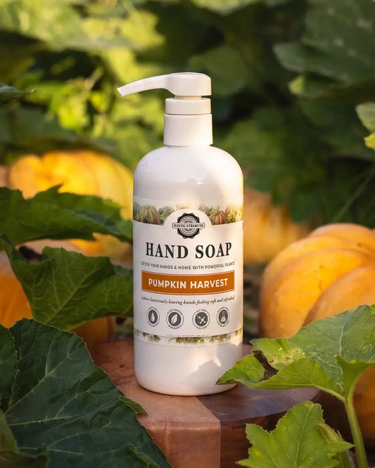 Hand Soap | Pumpkin Harvest