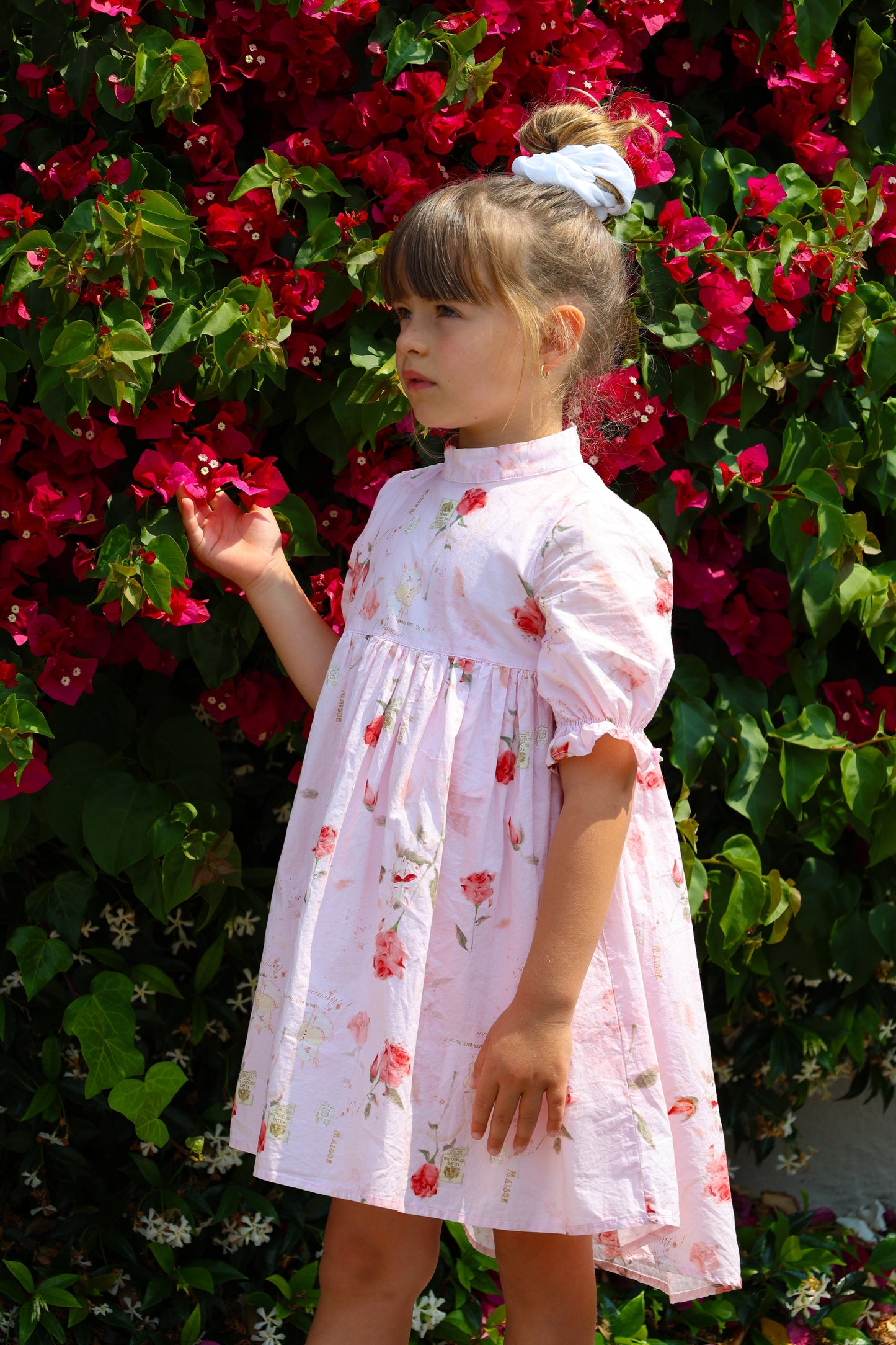 The Madeleine Dress- Rose Blush - Osadia Concept Store