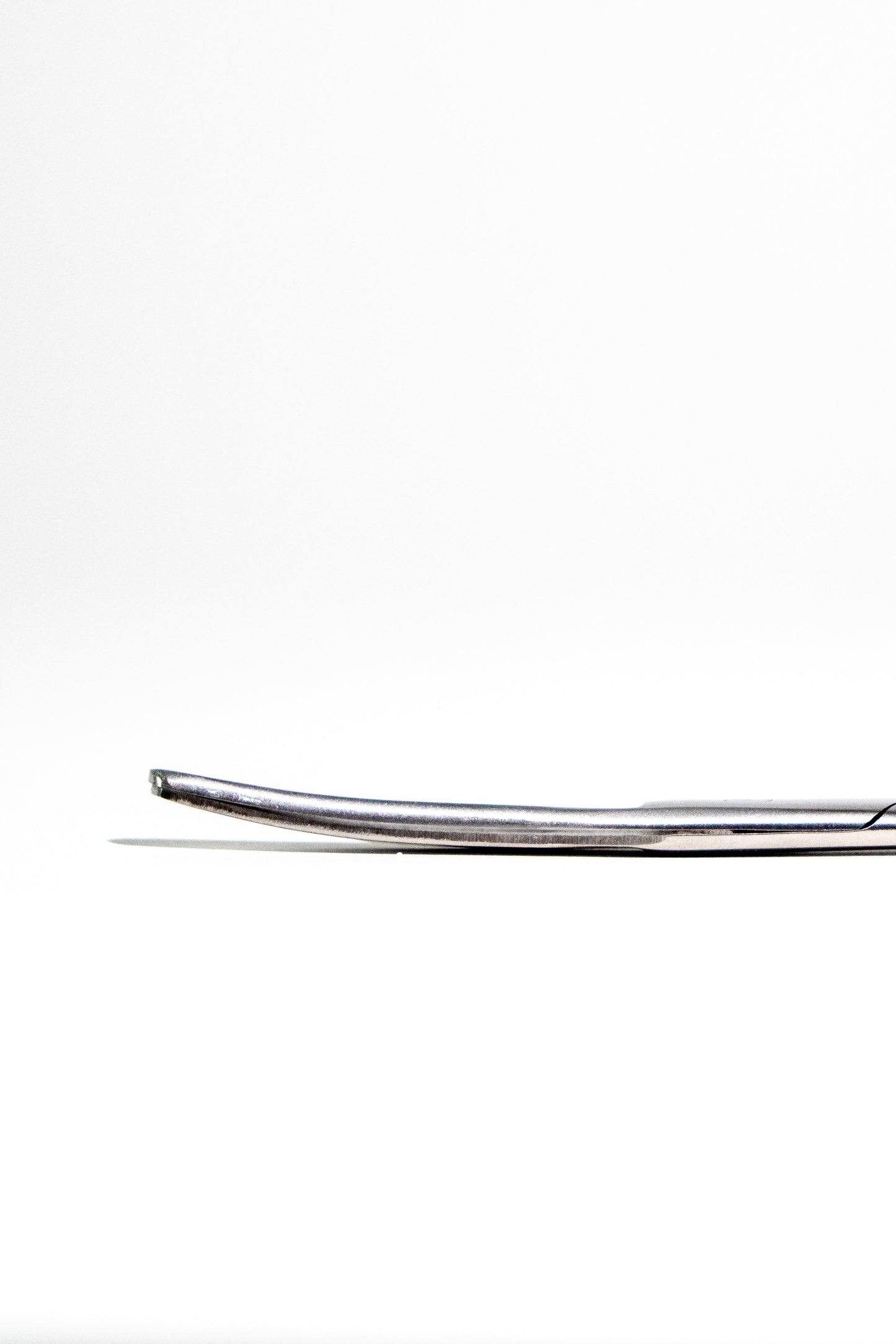 Large Surgical Scissors - 6.5"