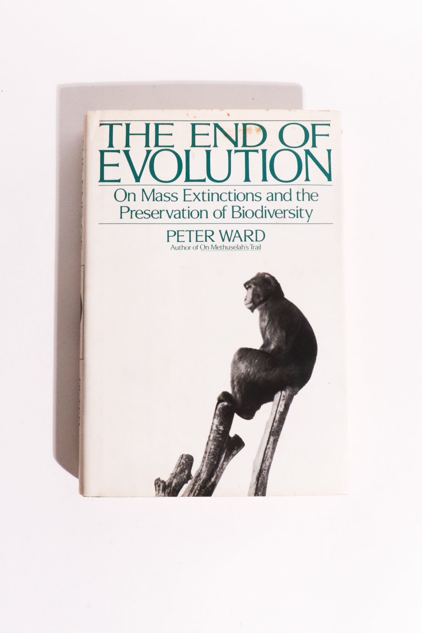 The End of Evolution: On Mass Extinctions and the Preservation of Biodiversity — Peter Ward, First Edition, First Printing (1994)