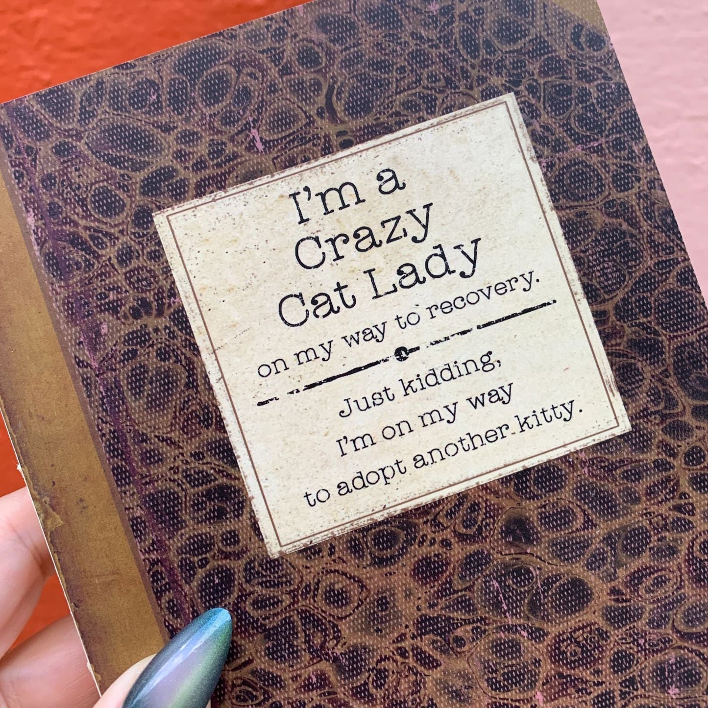 I'm A Crazy Cat Lady On My Way To Recovery Journal  | Vintage Book Designs Notebook