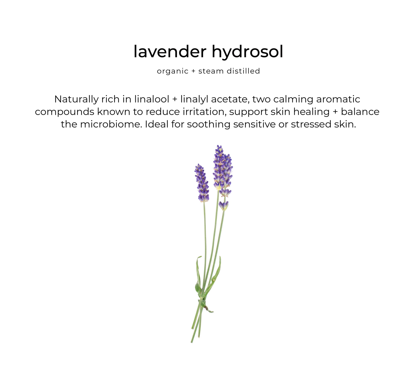 Habitual Hydrator moisturizer