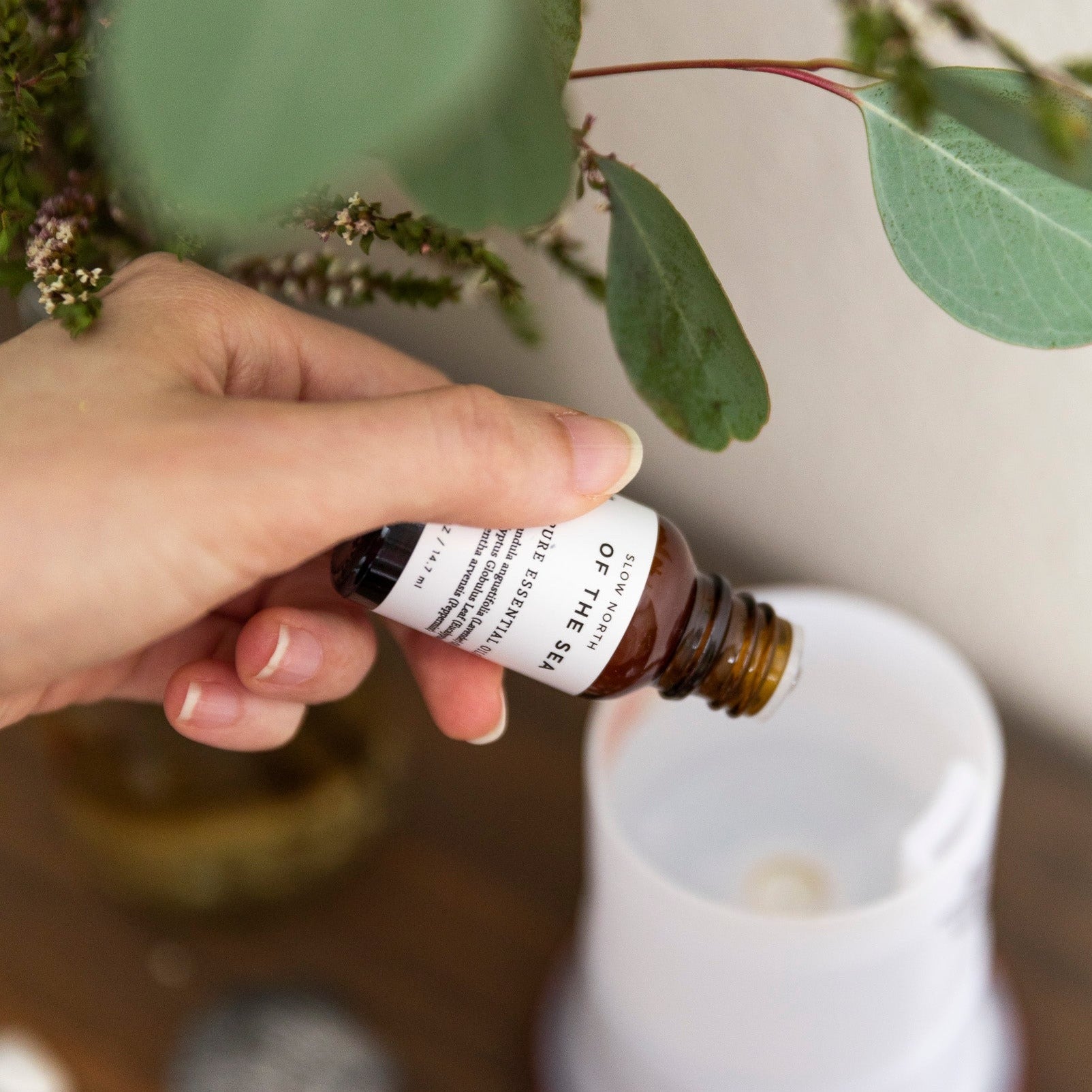 Essential Oil Diffuser Blends - Osadia Concept Store
