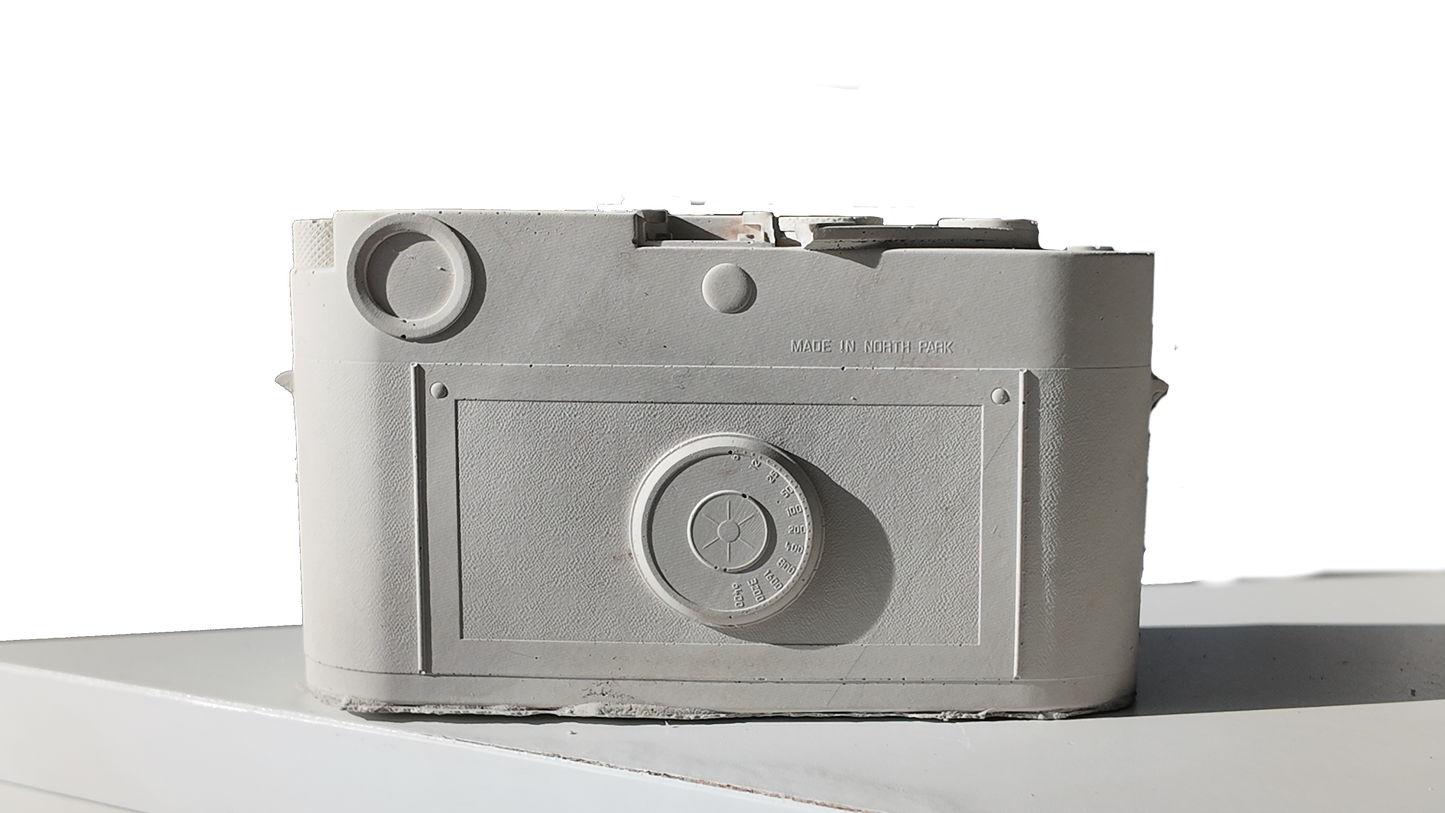 The Analog Cemera