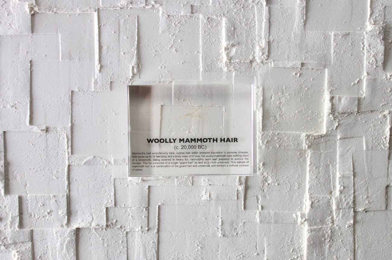 Woolly Mammoth Hair