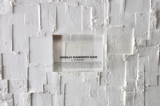 Woolly Mammoth Hair