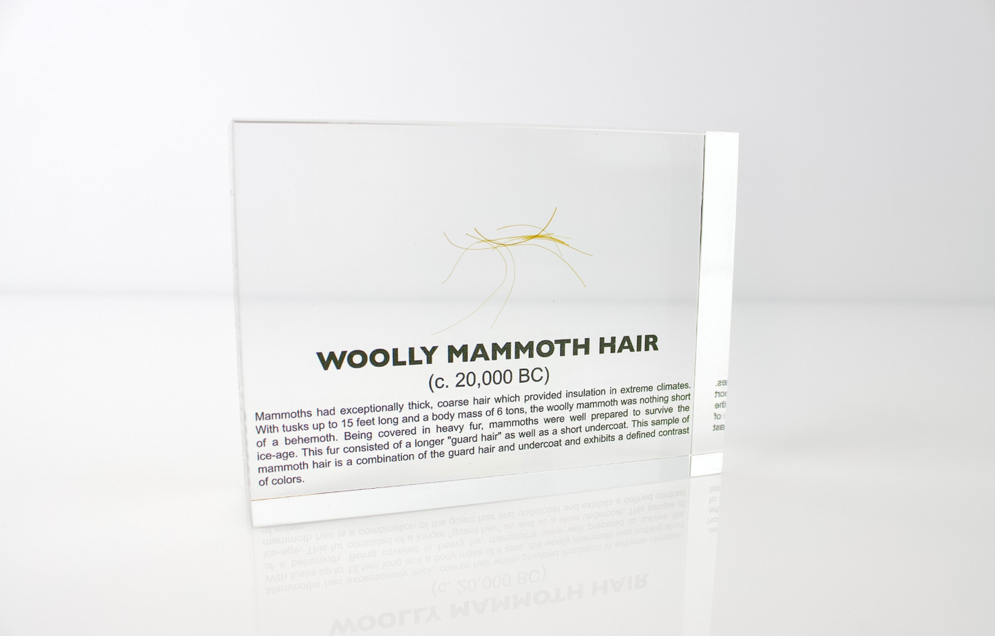 Woolly Mammoth Hair