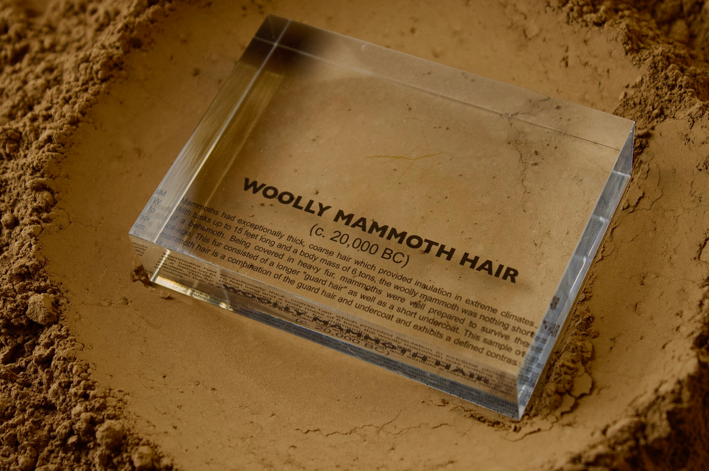 Woolly Mammoth Hair