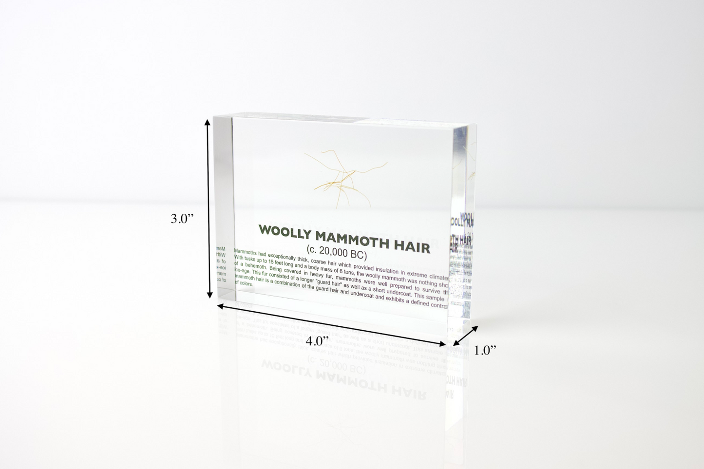 Woolly Mammoth Hair