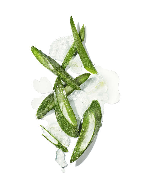 Mekabu Hydrating Styling Cream - Osadia Concept Store