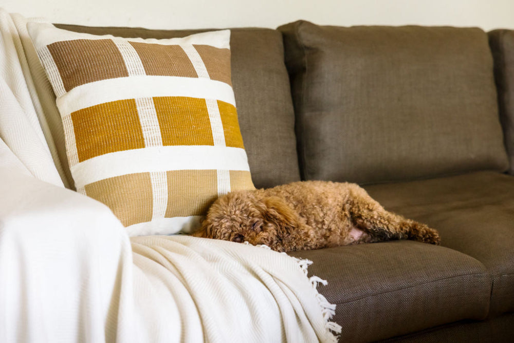 Mechot Handwoven Ethiopian Cotton Throw Blanket