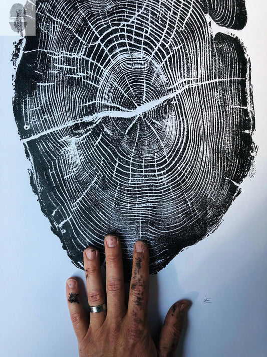 Nauvoo Illinois Osage Orange - 18x24 print