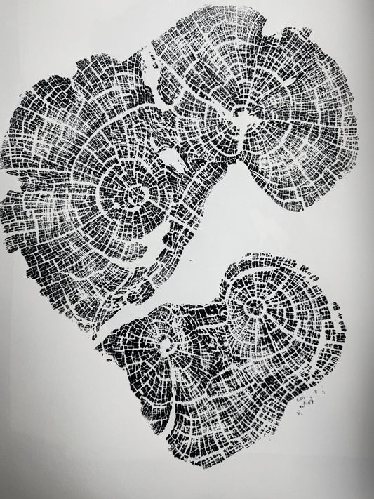 Old Growth Juniper Tree Ring Print – Boulder, Utah (Grand Staircase) – 24x36 Original Signed