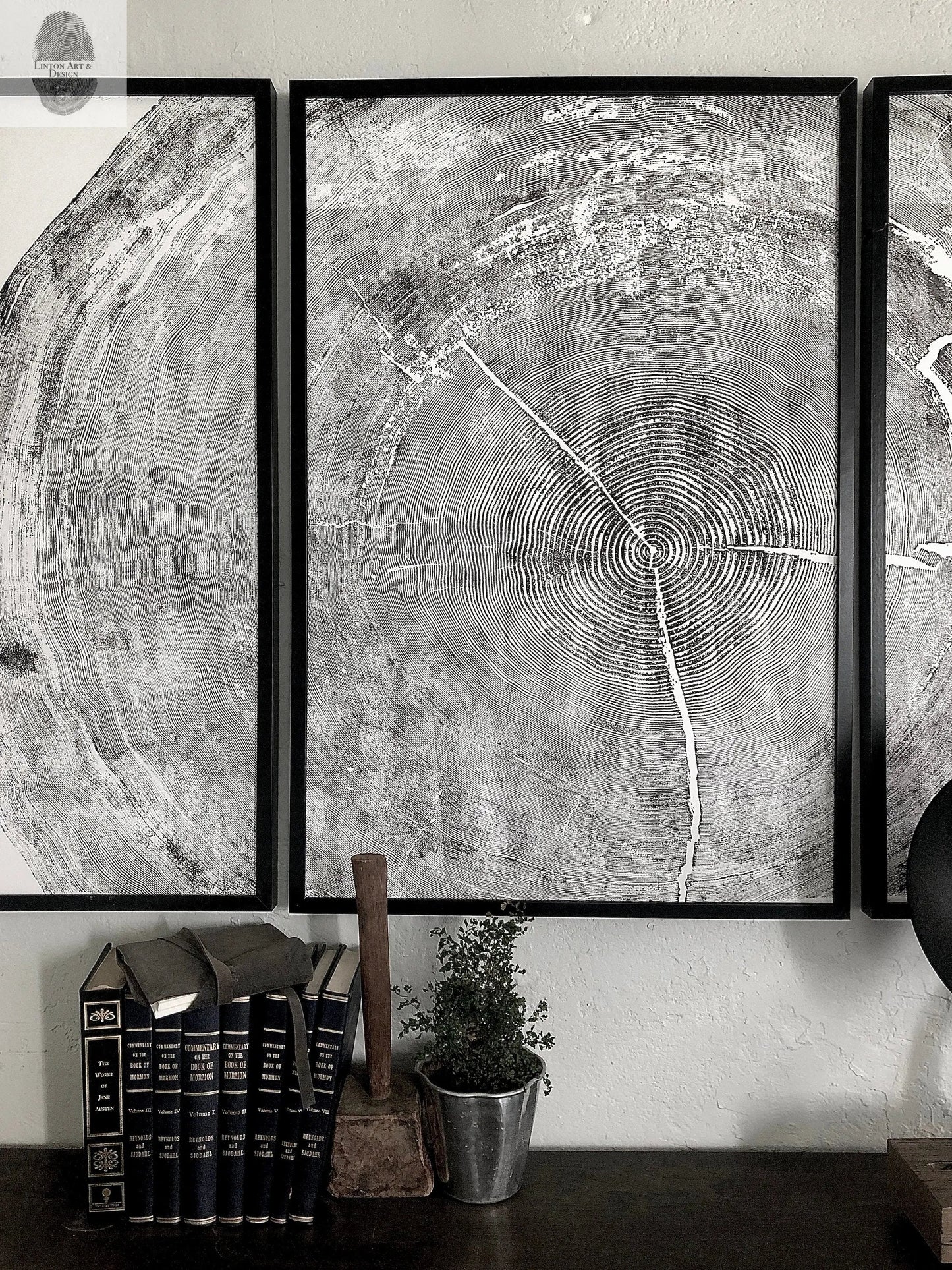 372-Year-Old Sitka Spruce Tree Ring Print Set • 3× 24×36″ Woodcut Art • Oregon Coast Nature Wall Art