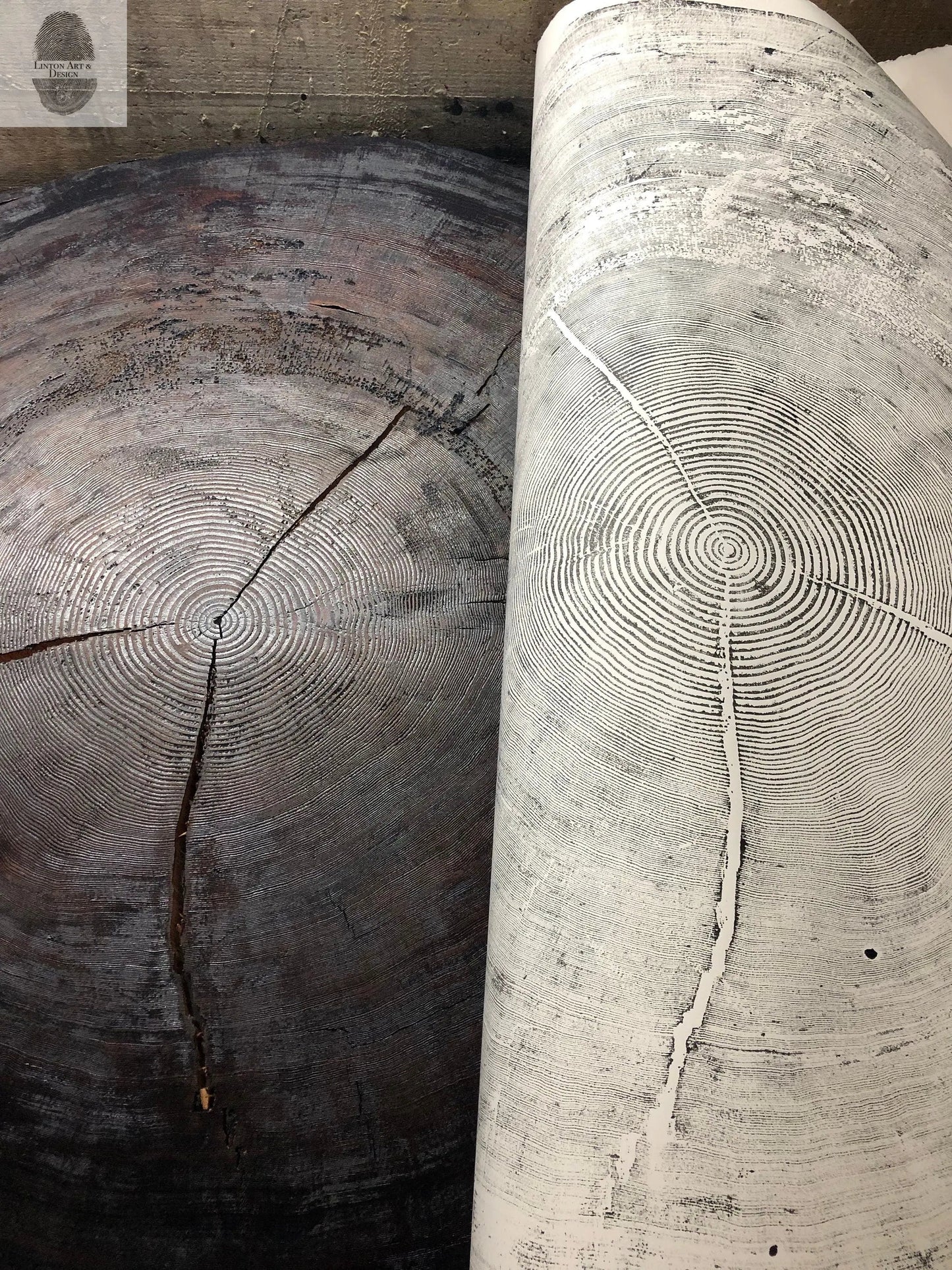 372-Year-Old Sitka Spruce Tree Ring Print Set • 3× 24×36″ Woodcut Art • Oregon Coast Nature Wall Art