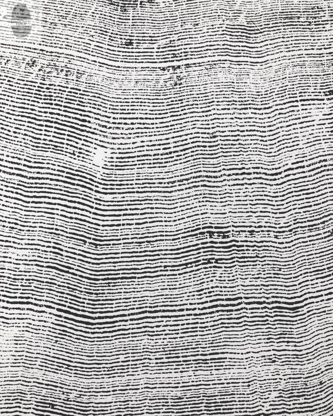 372-Year-Old Sitka Spruce Tree Ring Print Set • 3× 24×36″ Woodcut Art • Oregon Coast Nature Wall Art