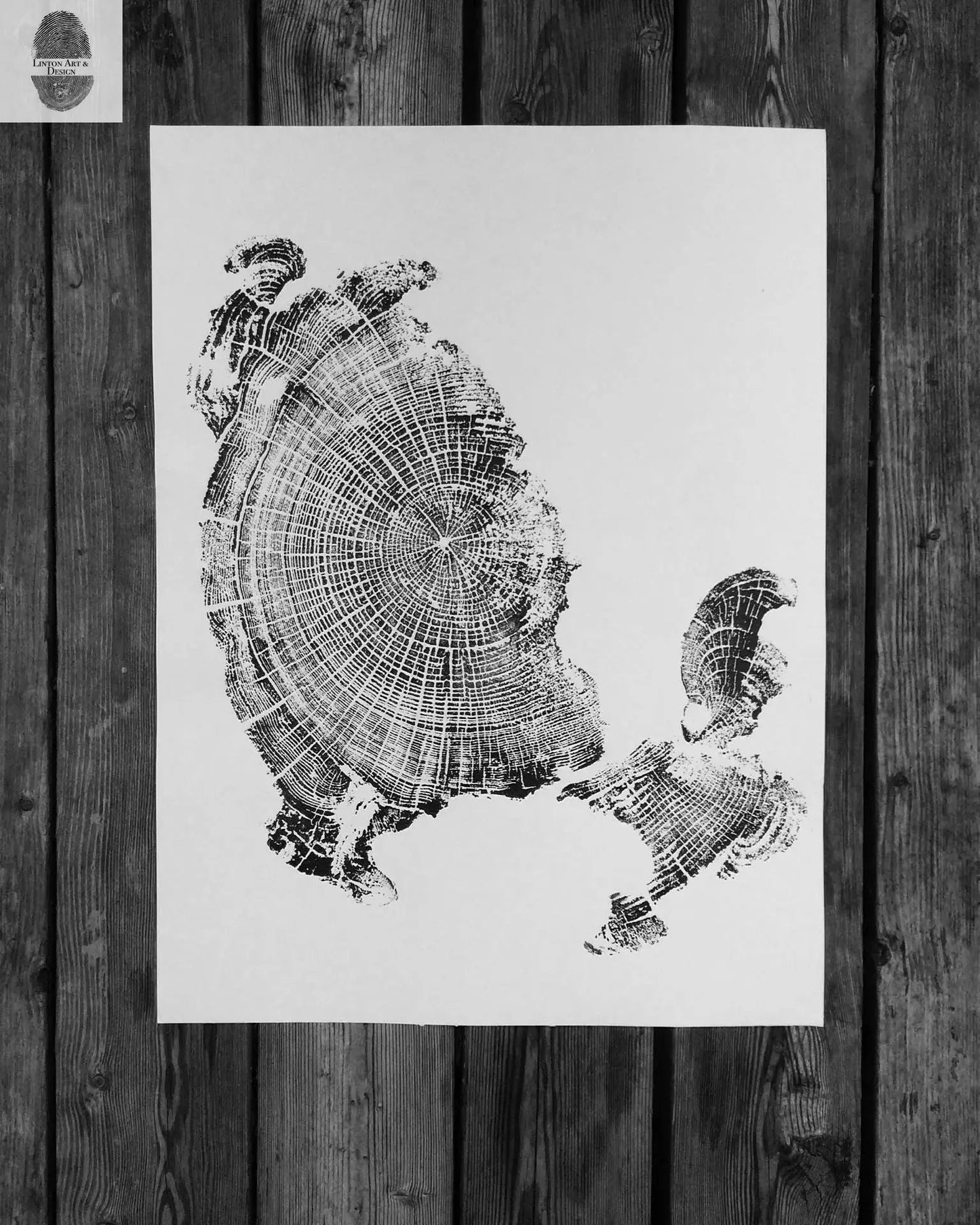 Oregon Coast, Cannon Beach, Driftwood Wall Art, Tree Ring Print, Cascade Mountains, Woodcut Art
