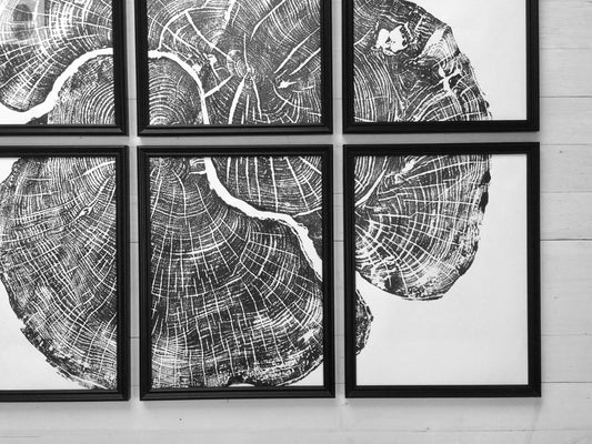 Pennsylvania Sugar Maple Set of 6 - 12x16 each print