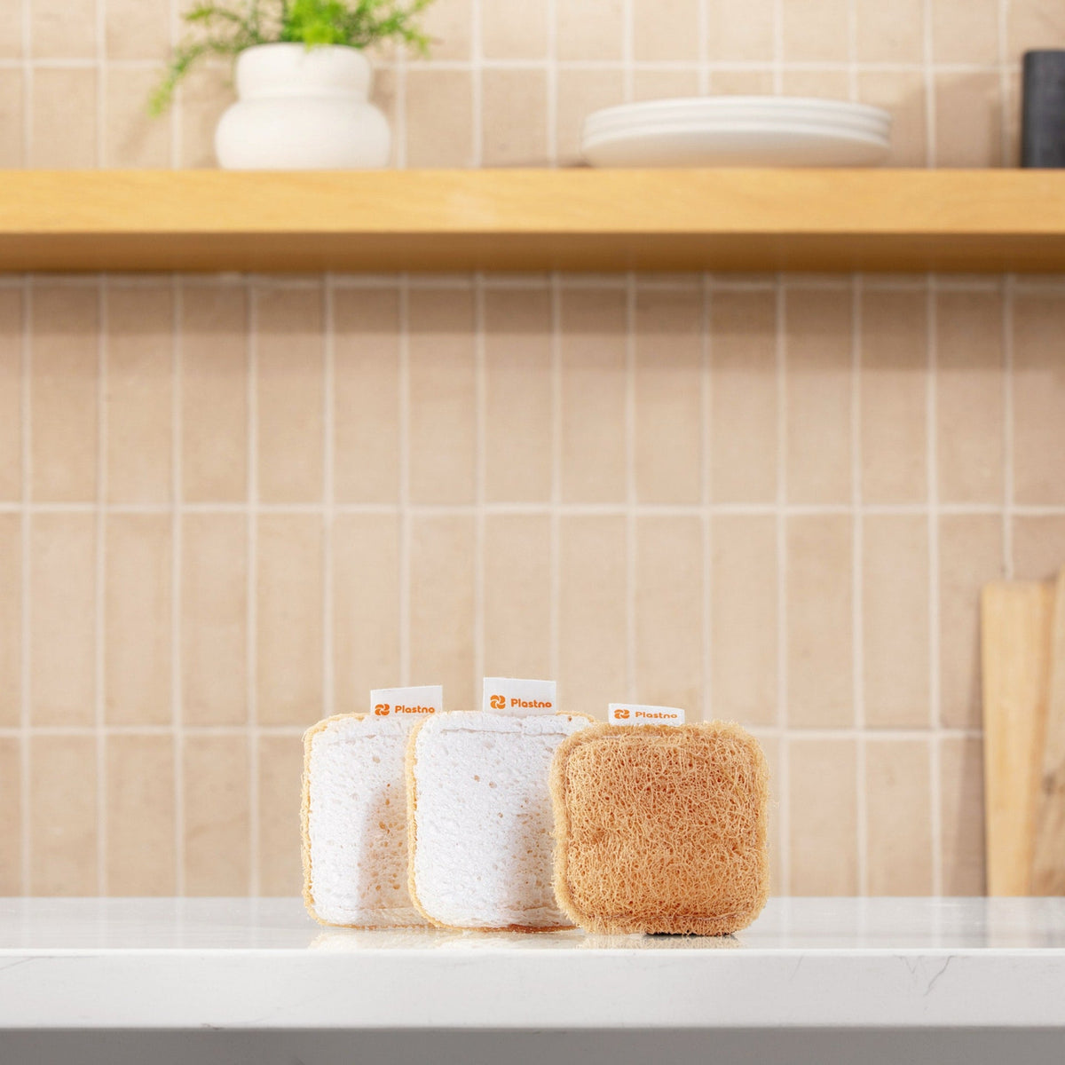 Scrub Sponge