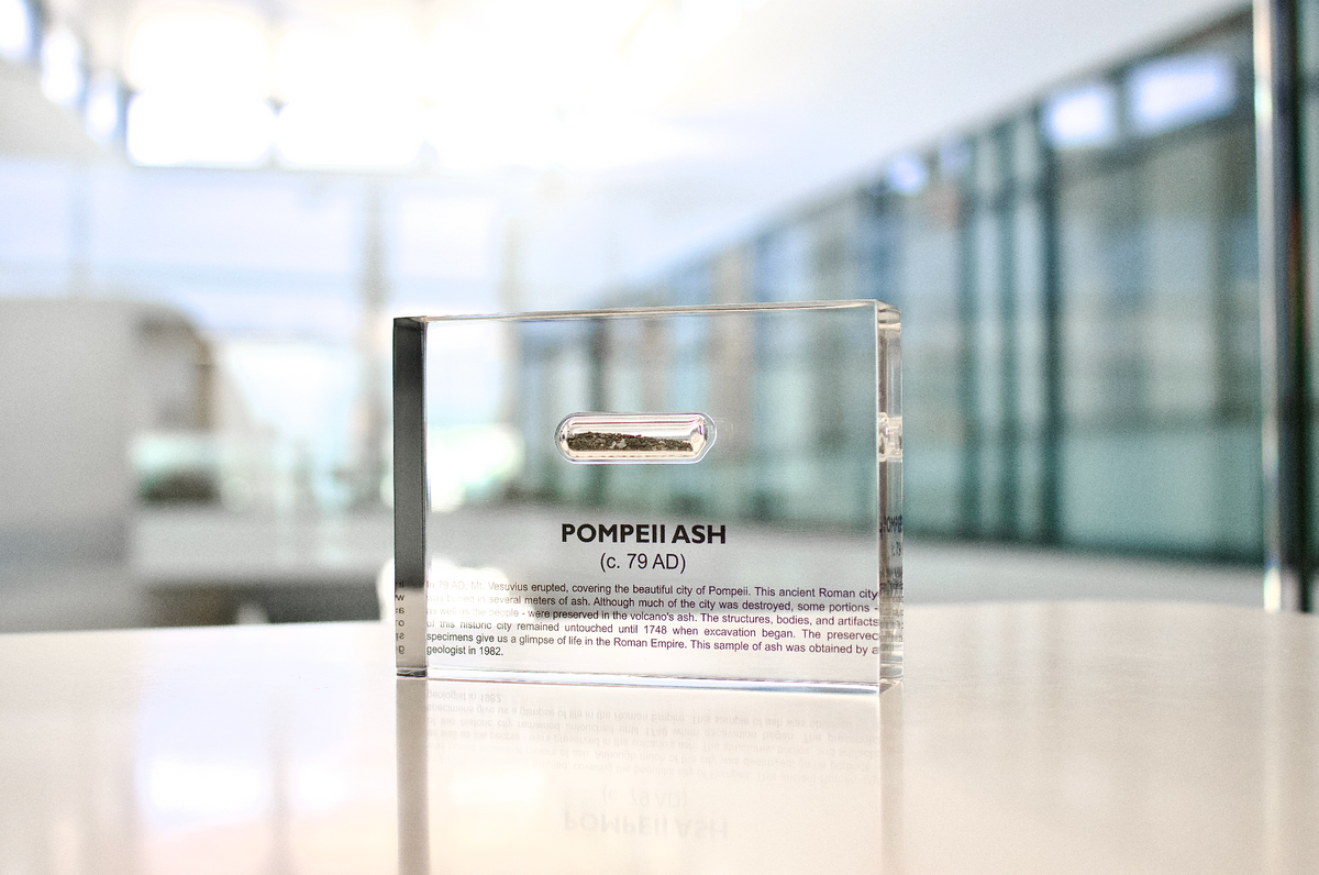 Pompeii Ash Artifact Display