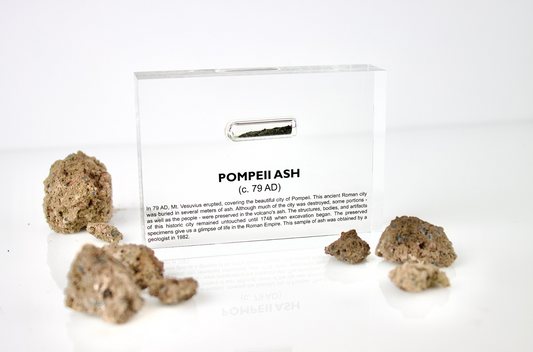 Pompeii Ash Artifact Display