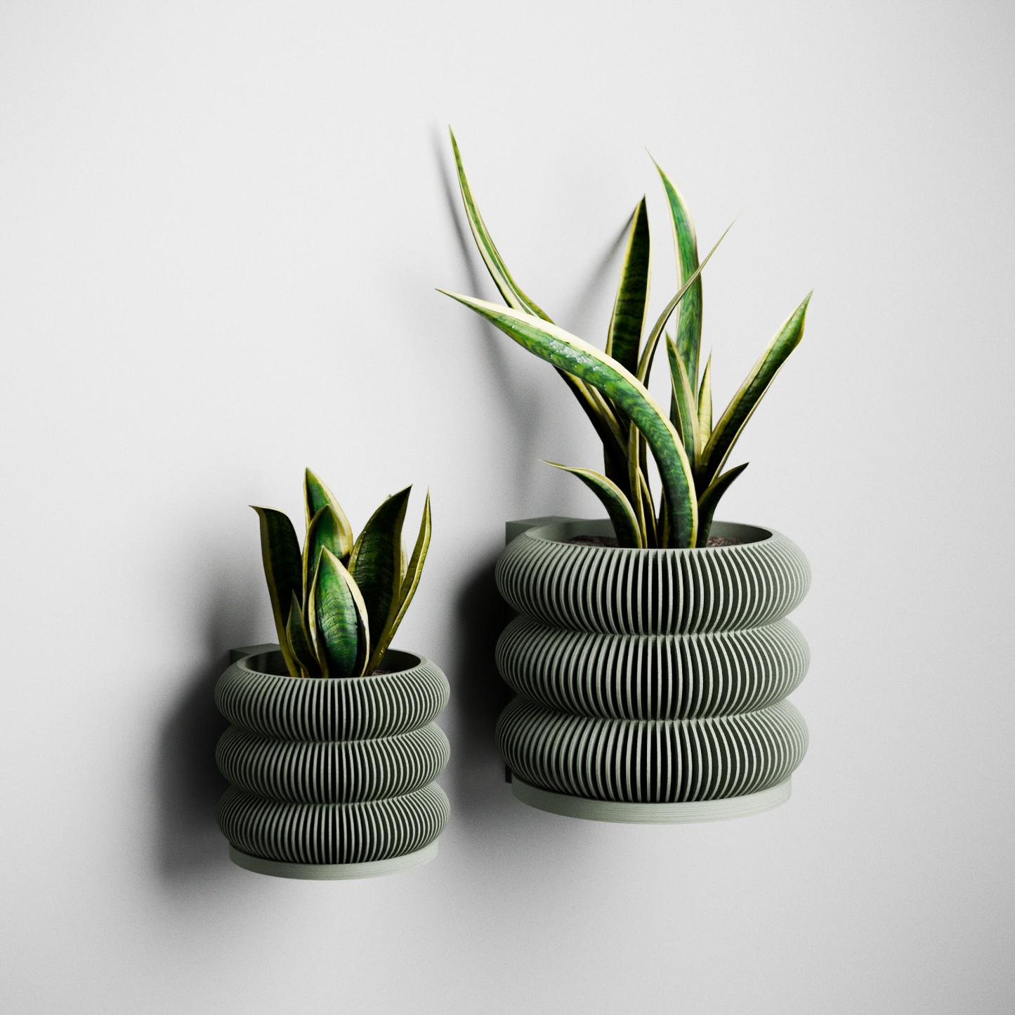 Wall Planter - BUBBLES
