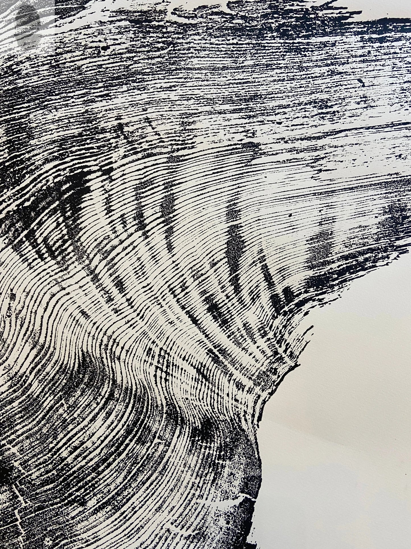 Redwood Tree, Tree Ring Print, California Coast, Wood Slice Wall Art, Huge Wall Art, Natural Wood Slices 52”x72”