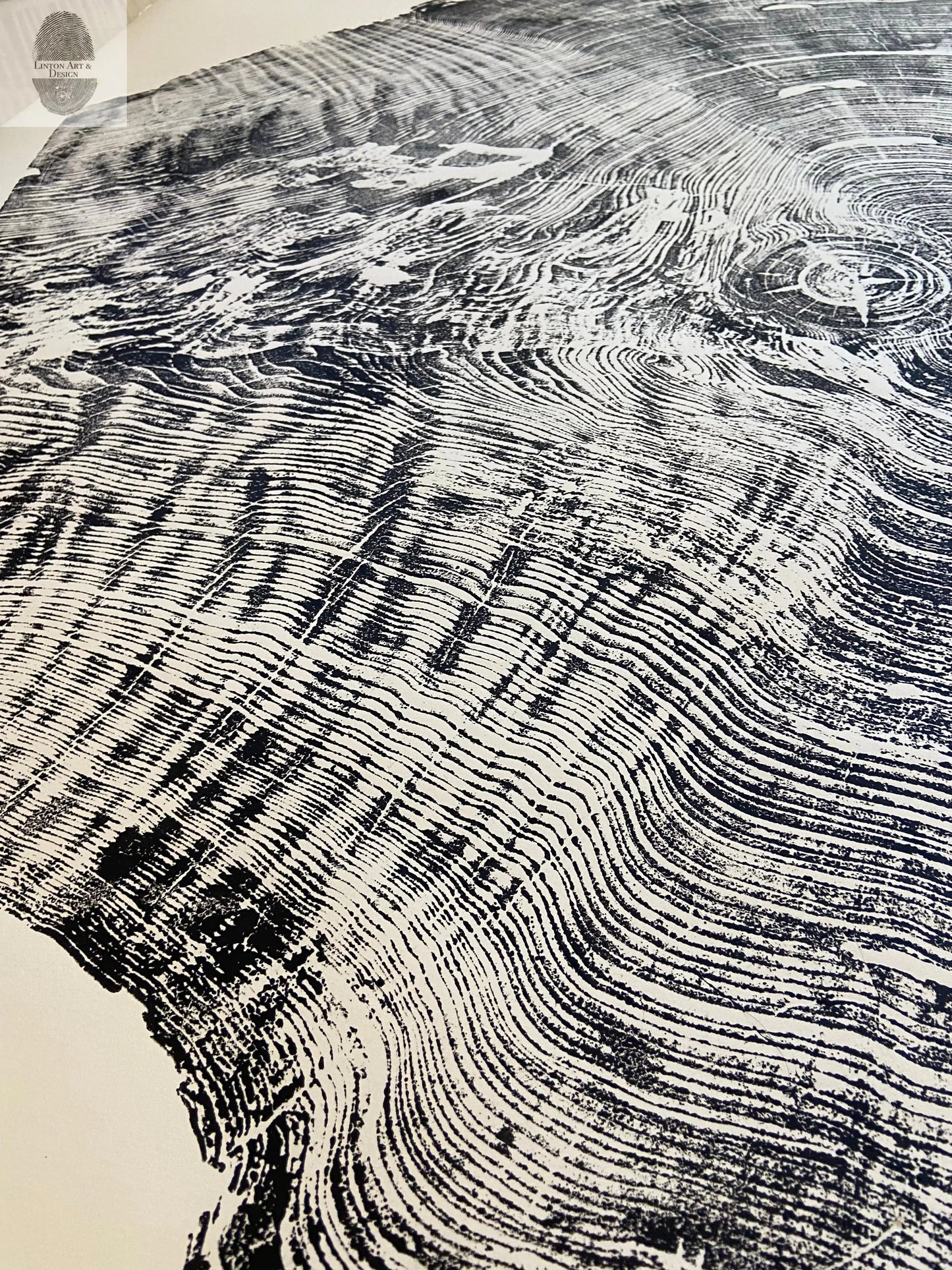 Redwood Tree, Tree Ring Print, California Coast, Wood Slice Wall Art, Huge Wall Art, Natural Wood Slices 52”x72”