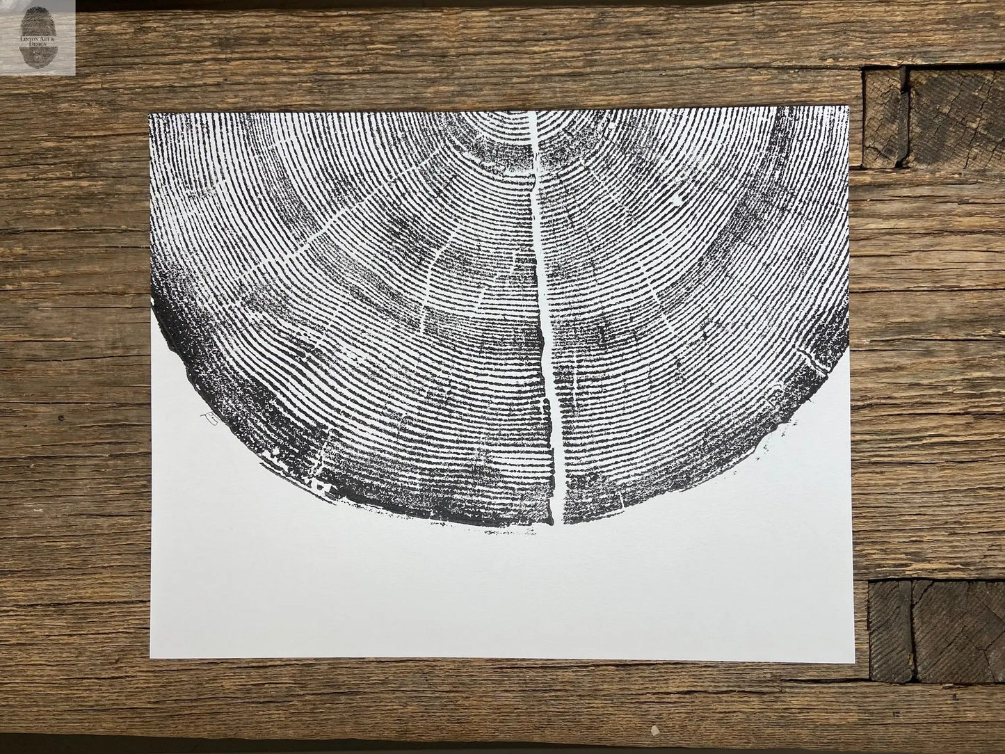 Rock Canyon Pine, Cropped, Limited Edition 11x14 inches. Hand pressed and signed.
