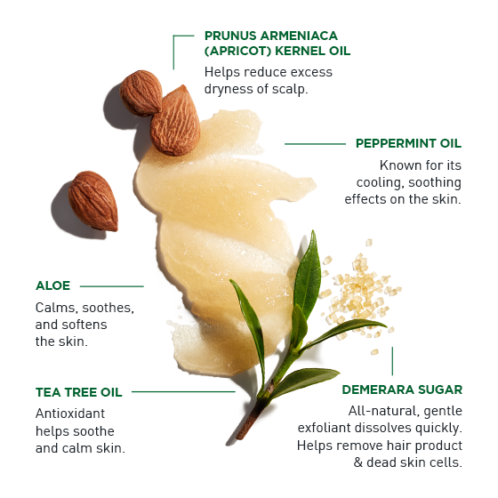 Jack Black Exfolianting Scalp Scrub & Shampoo 5 Oz