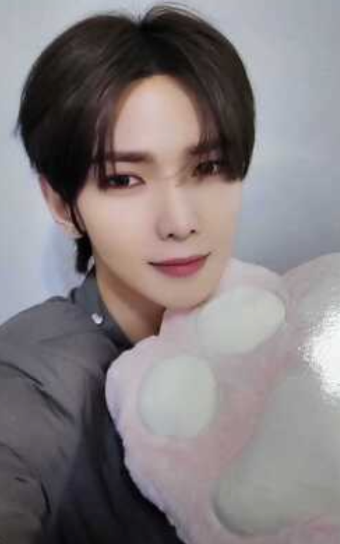 ATEEZ Golden Hour - Official Pob Photocards (Paw Version)