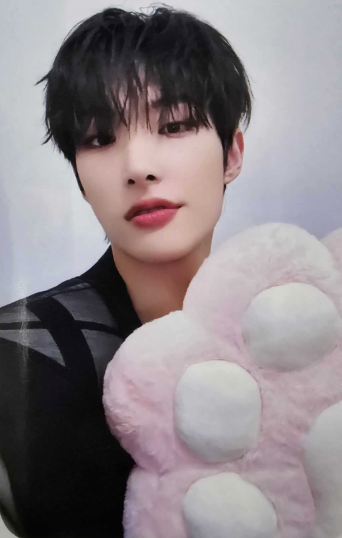 ATEEZ Golden Hour - Official Pob Photocards (Paw Version)