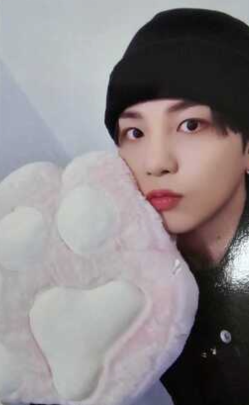 ATEEZ Golden Hour - Official Pob Photocards (Paw Version)