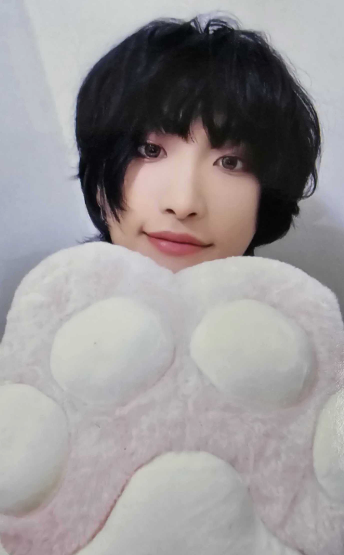 ATEEZ Golden Hour - Official Pob Photocards (Paw Version)