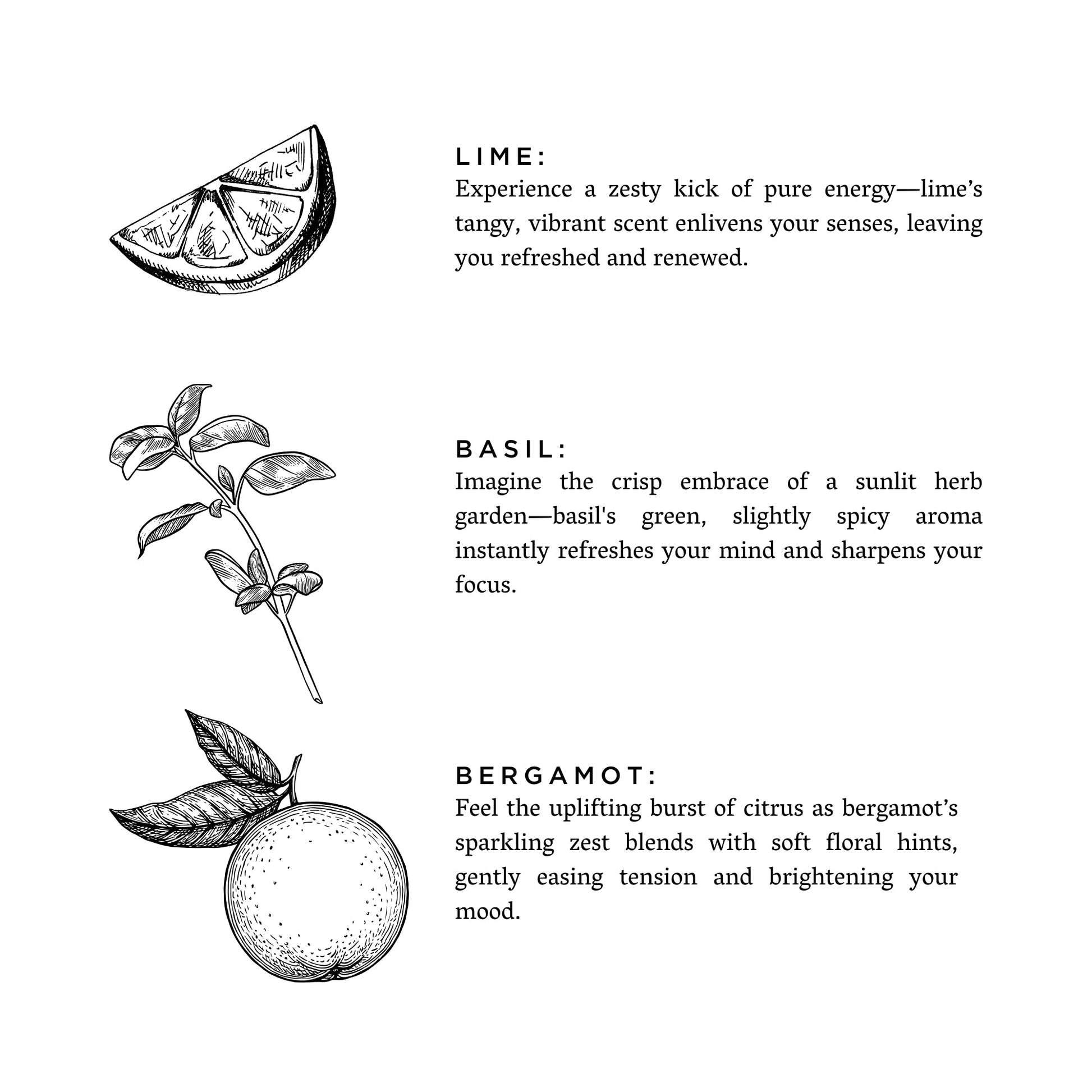 Spring Awakening - Limited Edition Spring Candle - Osadia Concept Store