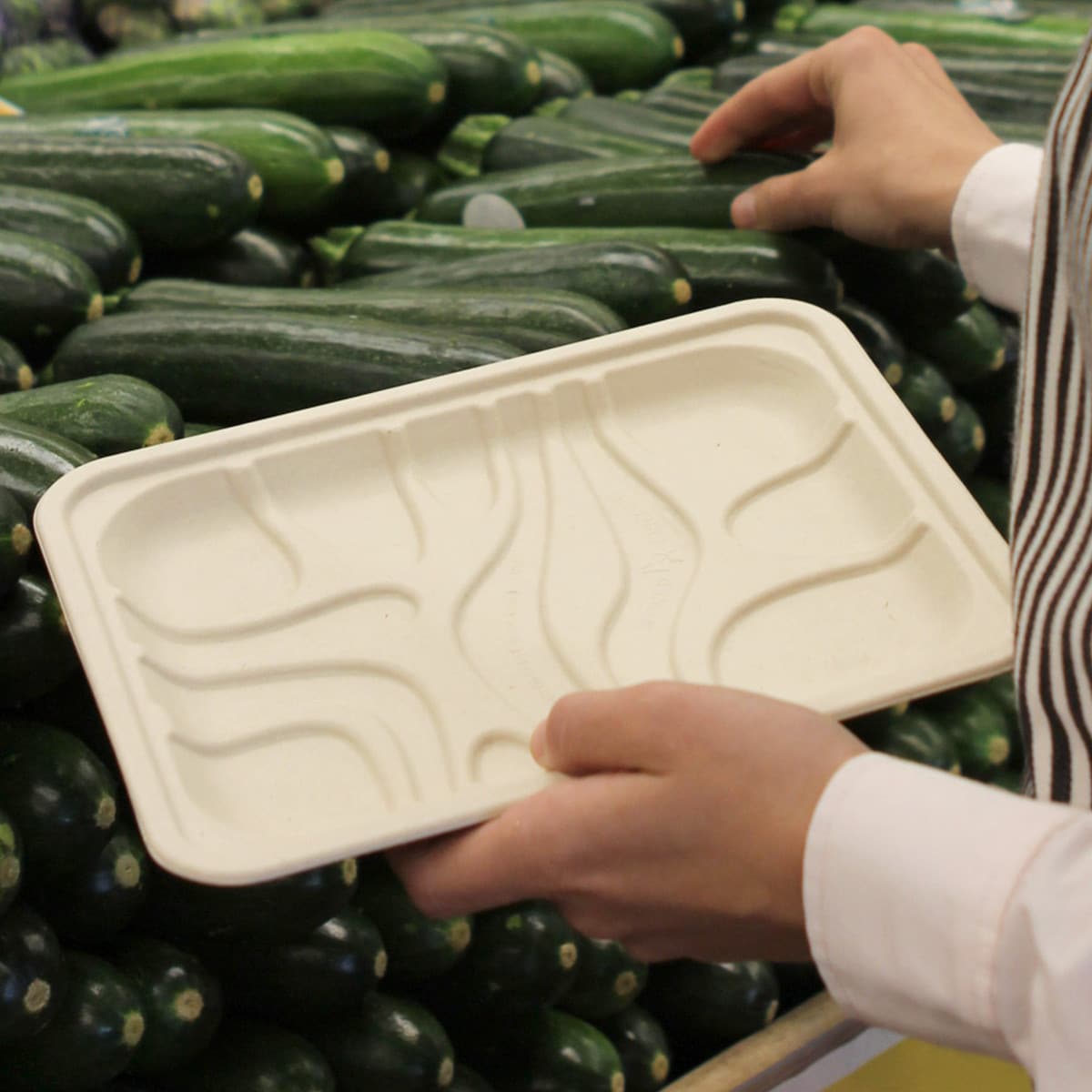 World Centric 8.2 x 5.7 x .65" Tray (QTY:500)