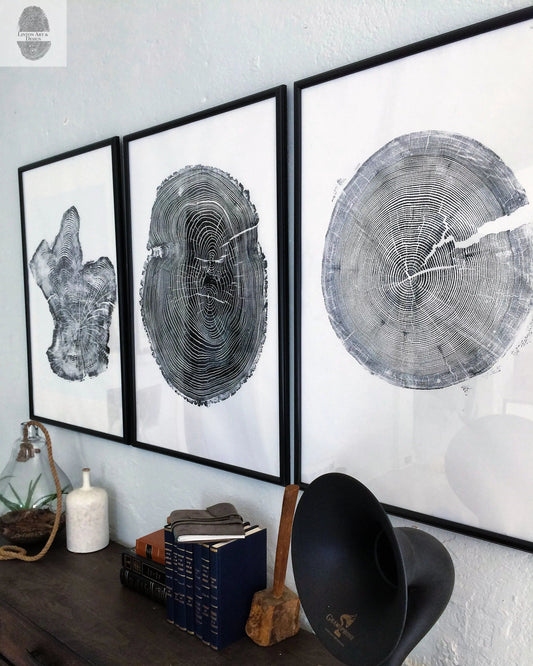 Tree Ring Triptych Wall Art • Set of 3 Panel Tree Stump Prints • Large Tree Ring Print Set • Nature-Inspired Wall Art