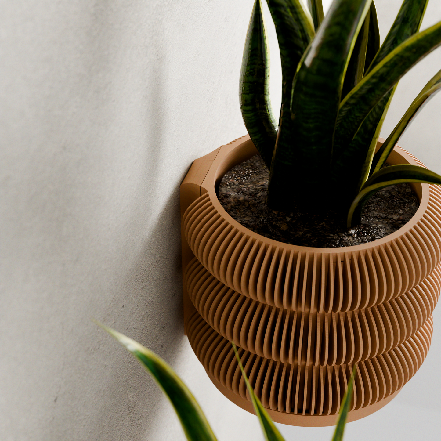 Wall Planter - BUBBLES