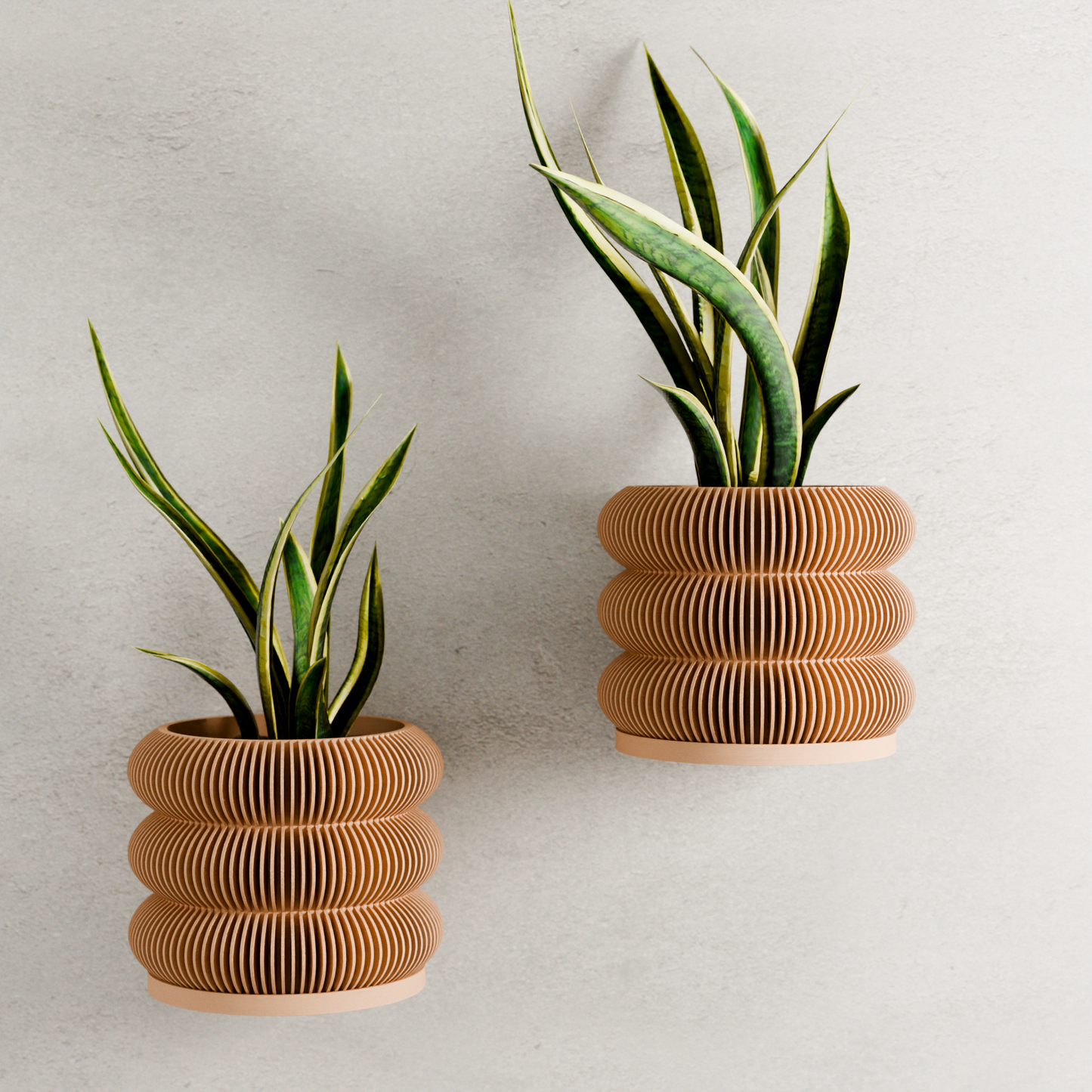 Wall Planter - BUBBLES