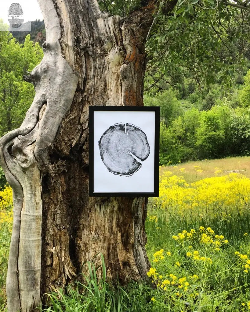Uinta Mountains, Utah Pine - 18x24 print